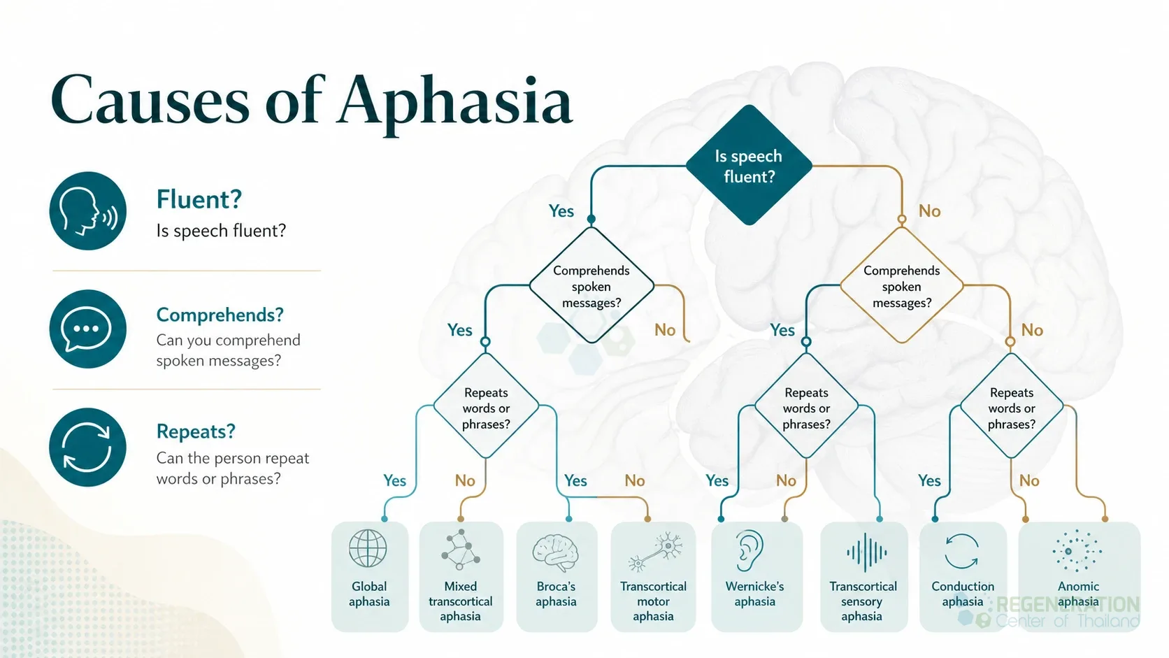 Flowchart of fluent and nonfluent types of aphasia for Stem Cell Therapy for Aphasia – A New Approach.