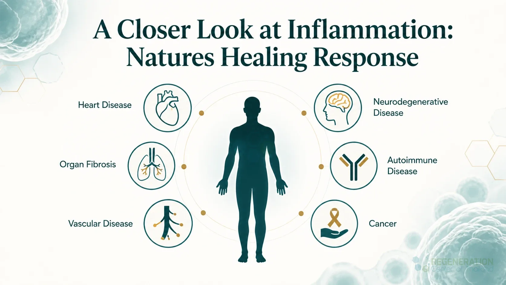 Impacts-of-systemic-inflammation for A Closer Look at Inflammation: Natures Healing Response.