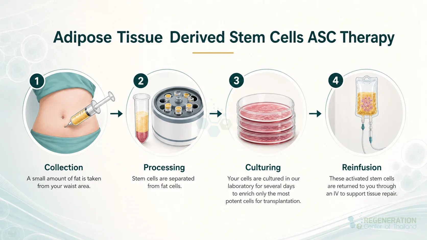 Autologous adipose cell process, unverified draft for editorial review