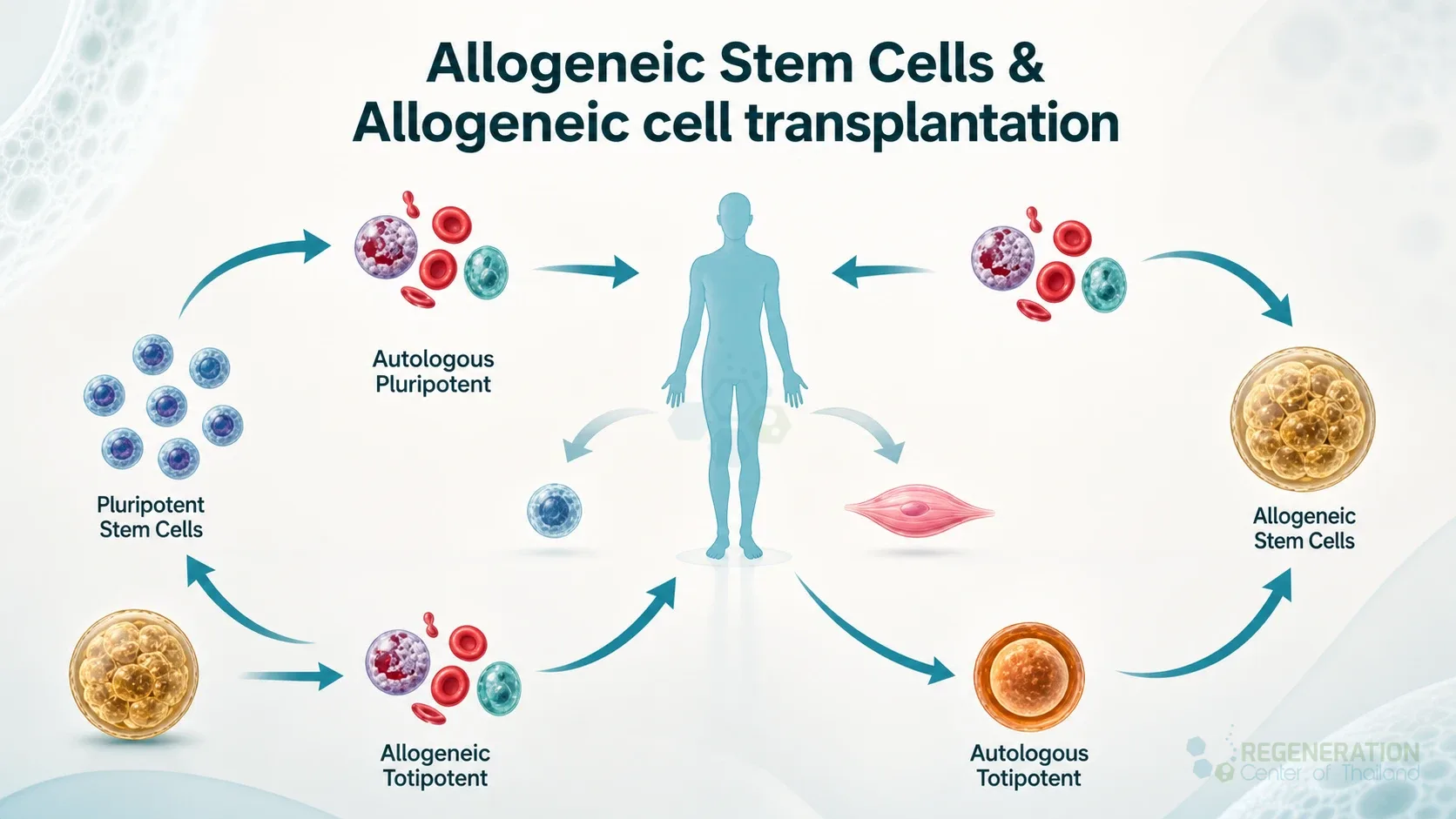 Stem-cell source and treatment pathway comparison, unverified draft for editorial review