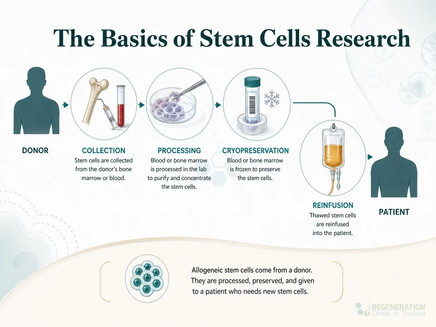 Allogeneic stem-cell transplant process, unverified draft for editorial review