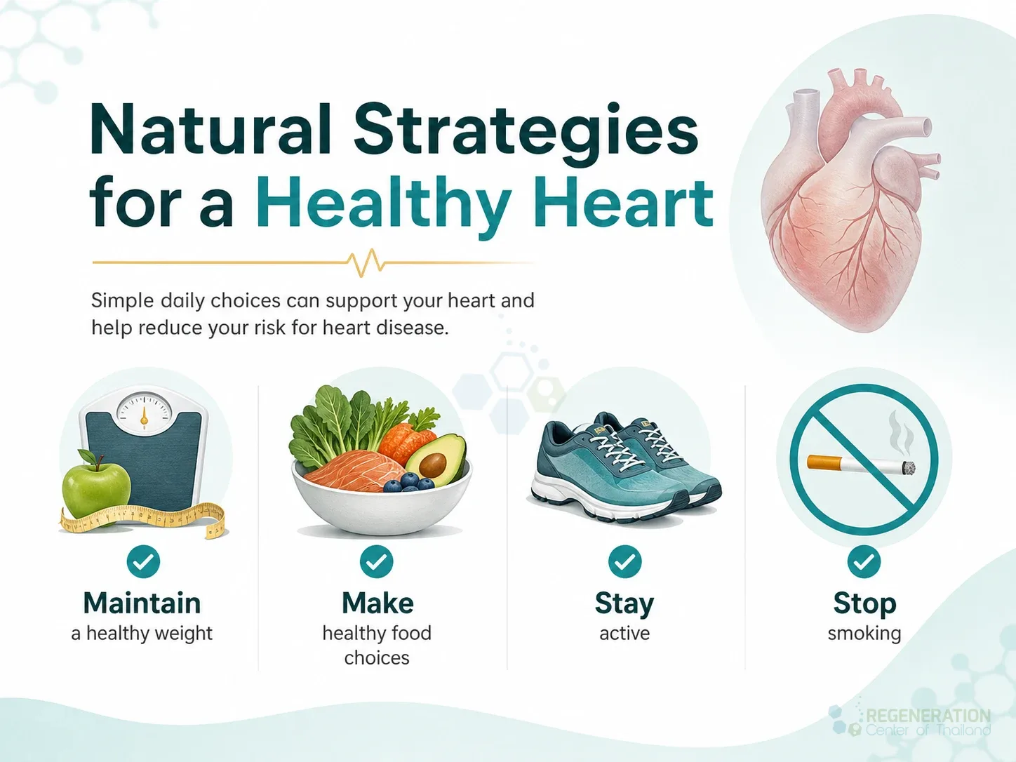 Infographic listing healthy weight, diet, exercise and smoking cessation to reduce heart disease risk for An Overview of The Cardiovascular and Blood Circulatory System.
