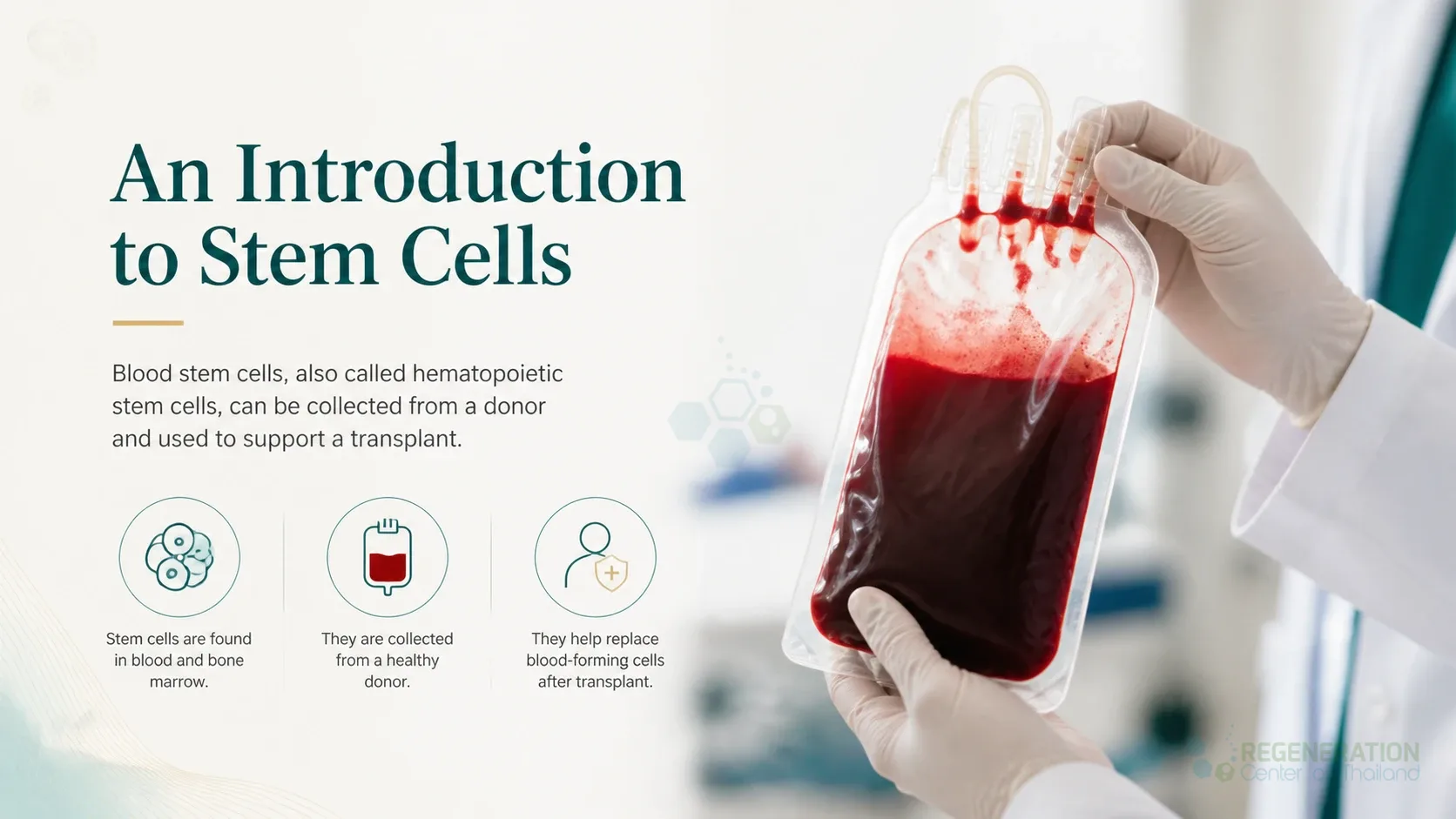 Blood collection bag in a clinical setting, unverified draft for editorial review
