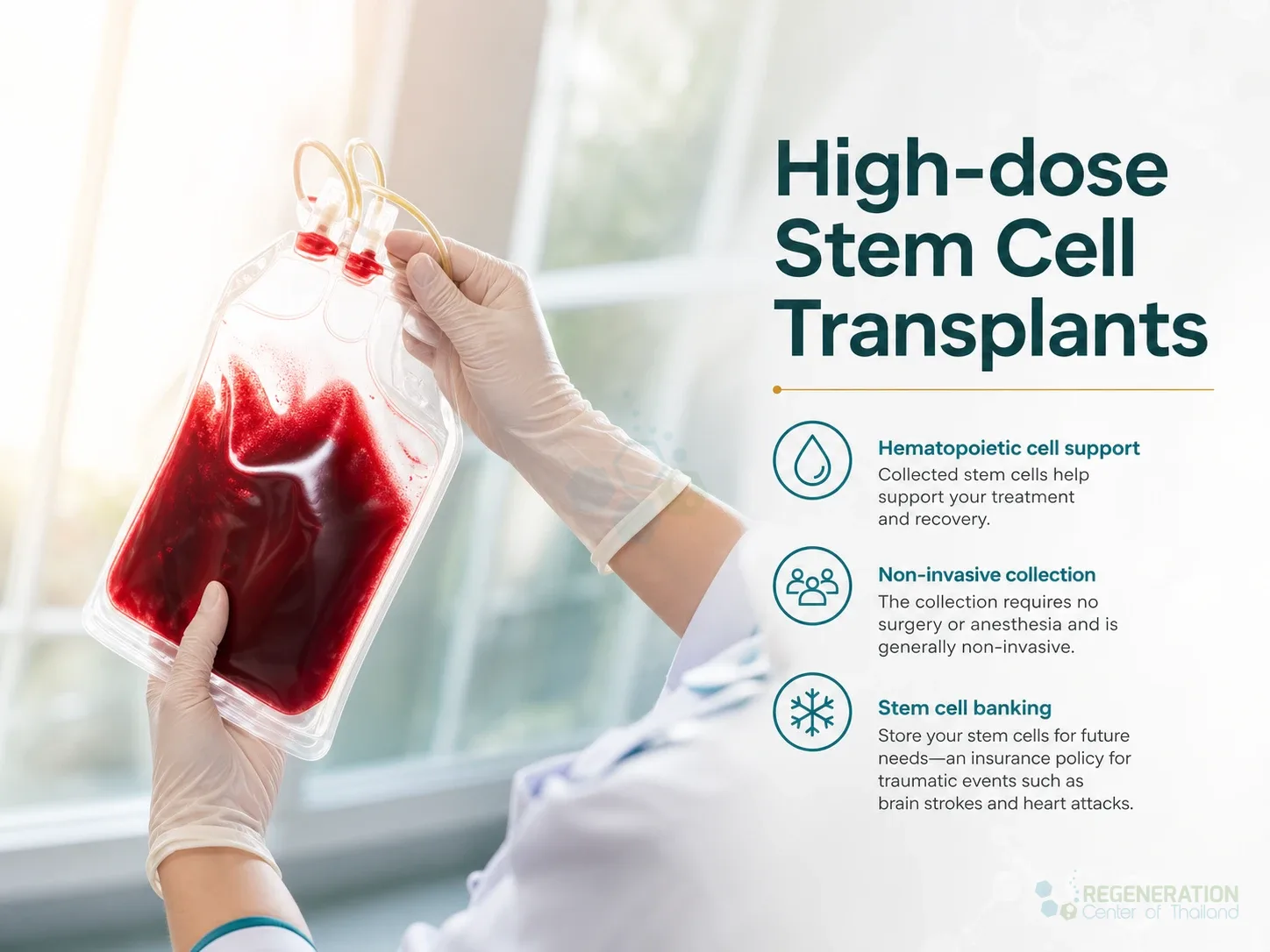 Editorial image for High-dose Stem Cell Transplants, including the section headline.