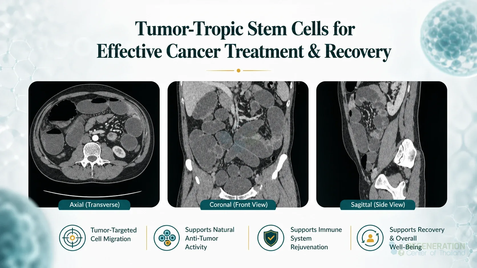 Editorial image for Tumor-Tropic Stem Cells for Effective Cancer Treatment & Recovery, including the section headline.