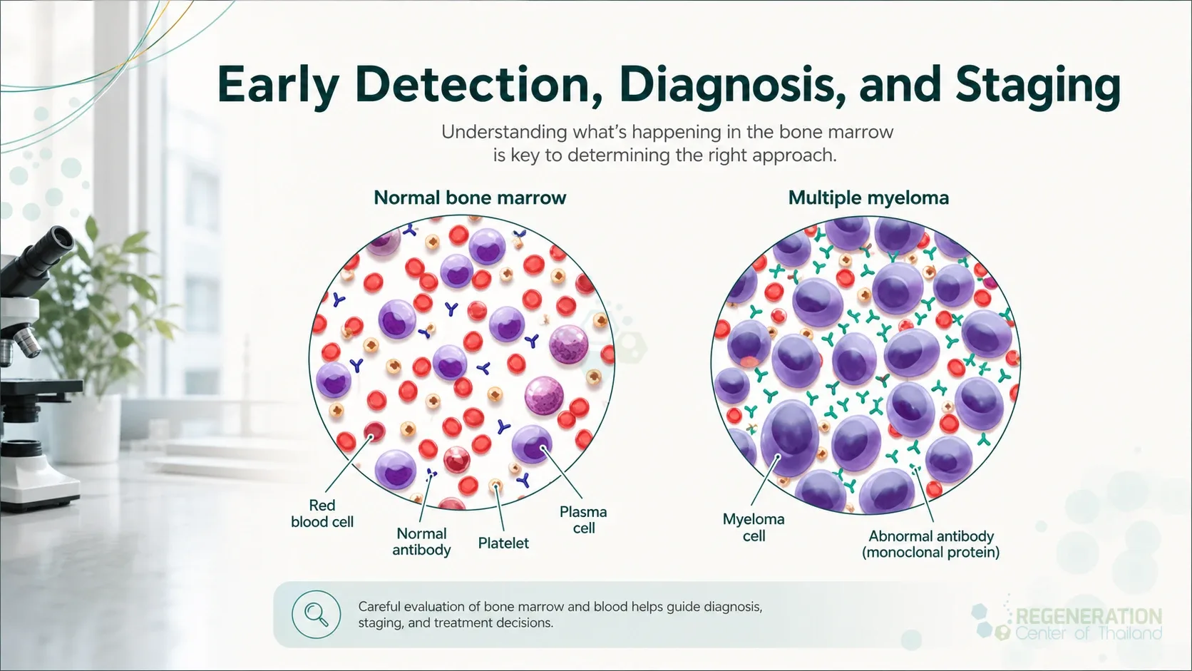 Clean clinical illustration for Early Detection, Diagnosis, and Staging with concise explanatory text.