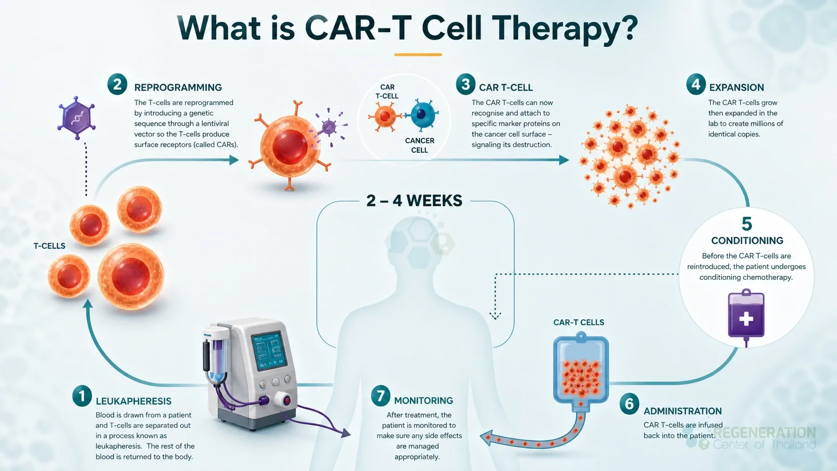 CAR-T-CELL-THERAPY-REGENERATIONCENTER-THAILAND for CAR-T cell treatment improves efficacy of kidney transplants.