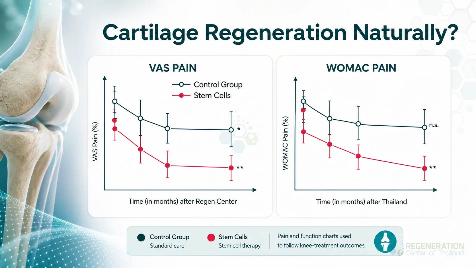 Editorial image for Cartilage Regeneration Naturally?, including the section headline.