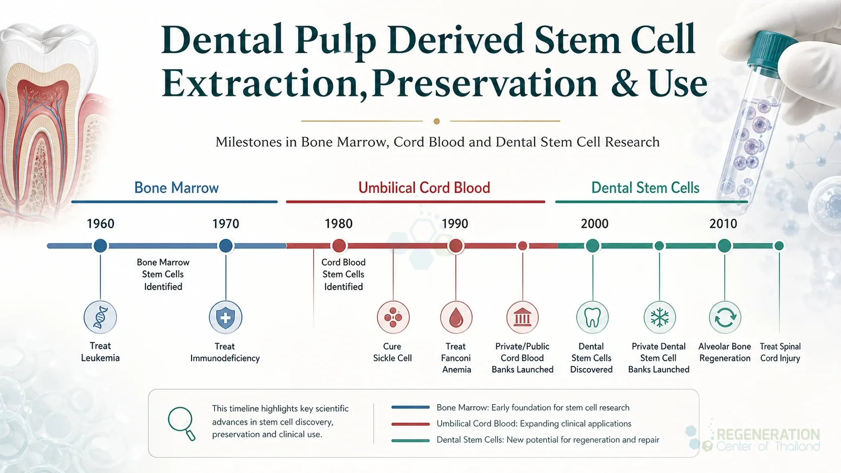 Timeline of milestones in bone marrow, cord blood and dental stem cell research for Dental Pulp Derived Stem Cell Extraction,Preservation & Use.