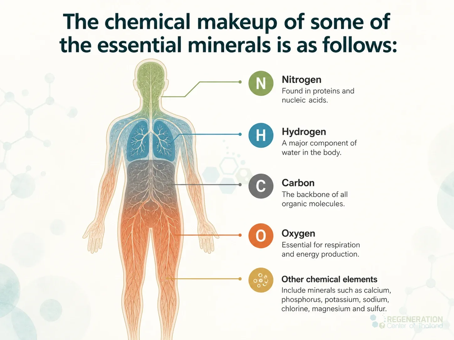 Major chemical elements in the human body, unverified draft for editorial review