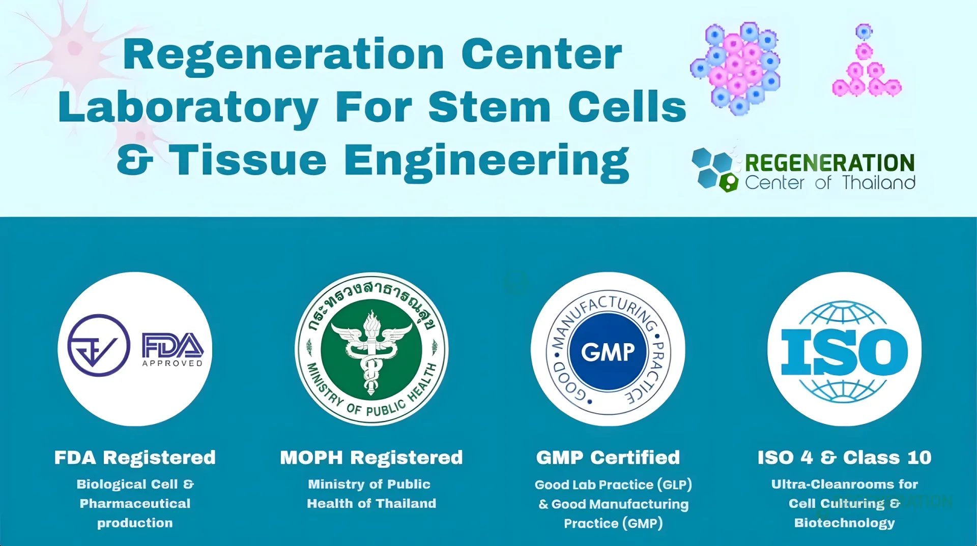 Enhanced visual alternative for StemCellLabsm