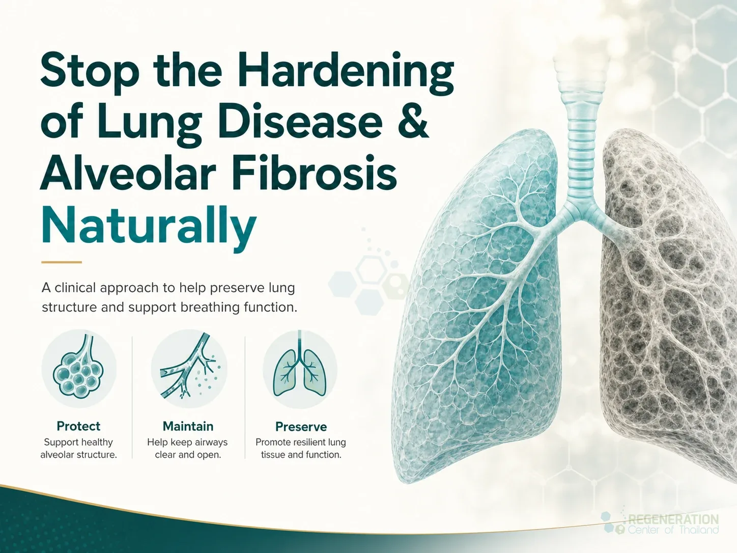Clinical editorial image for Stop the Hardening of Lung Disease & Alveolar Fibrosis Naturally, including the section headline.