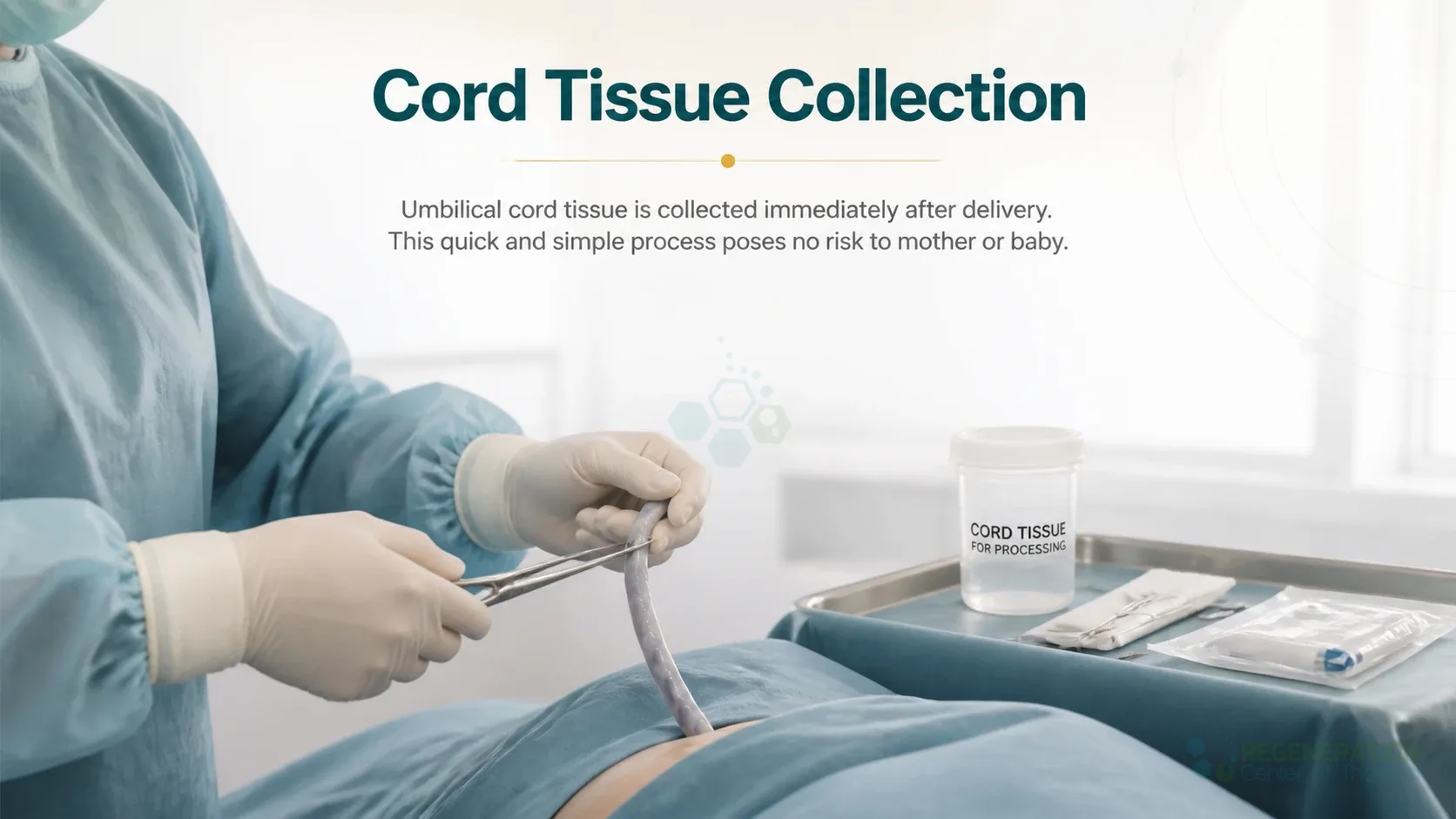 Clinician collecting umbilical cord blood immediately after delivery for Isolated Mesenchymal Stem Cells from Umbilical Cord Tissue.