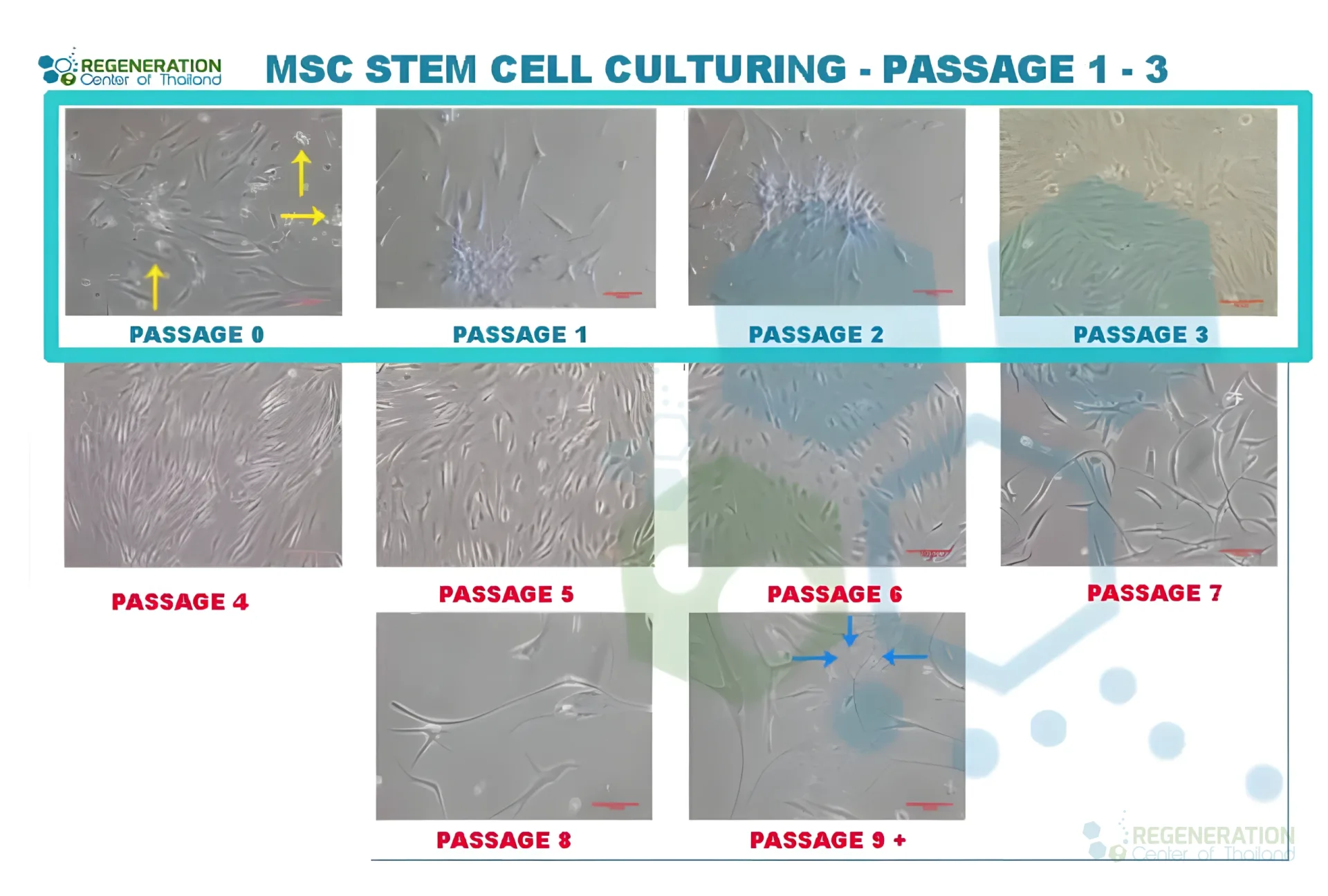 Enhanced visual alternative for PassageCount-REGENERATION-CENTER