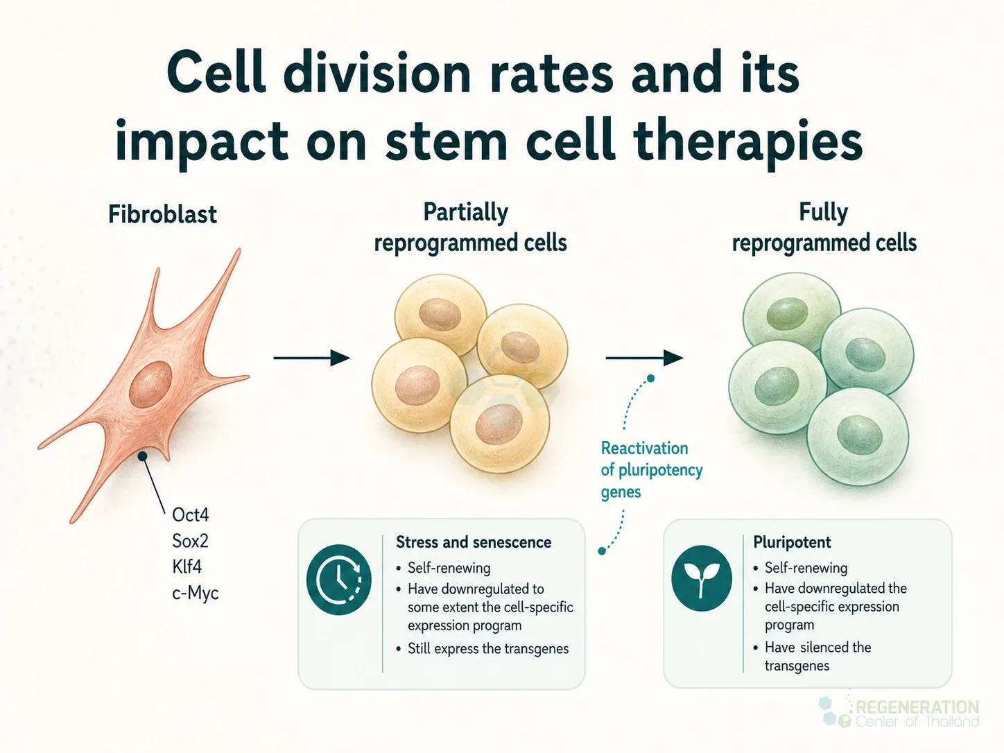 Cellular reprogramming barriers, unverified draft for editorial review