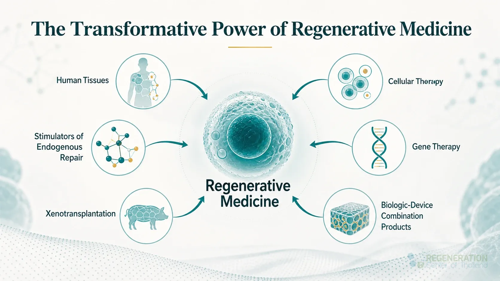 Clean clinical illustration for The Transformative Power of Regenerative Medicine with concise explanatory text.