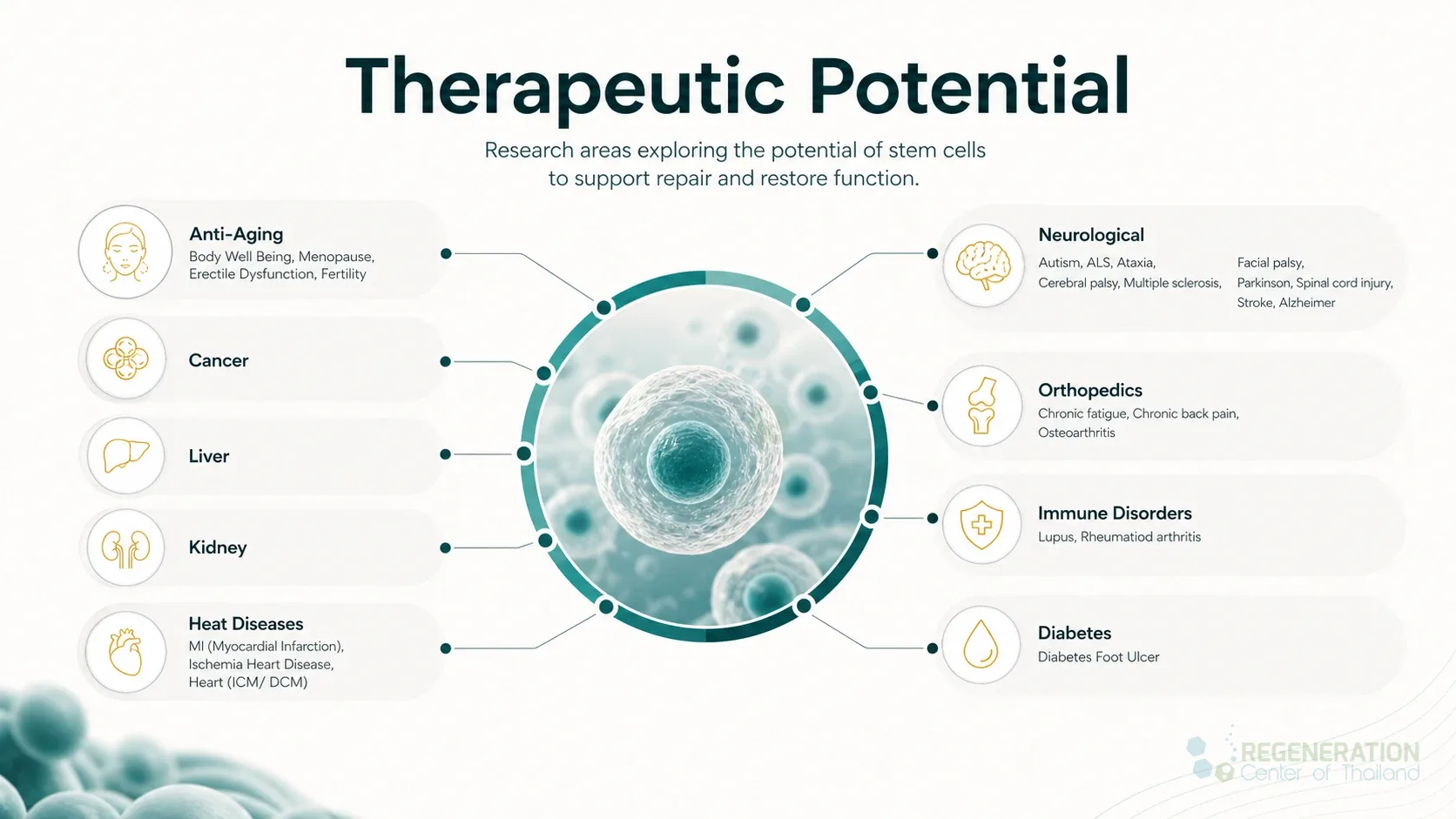 Clean clinical illustration for Therapeutic Potential with concise explanatory text.