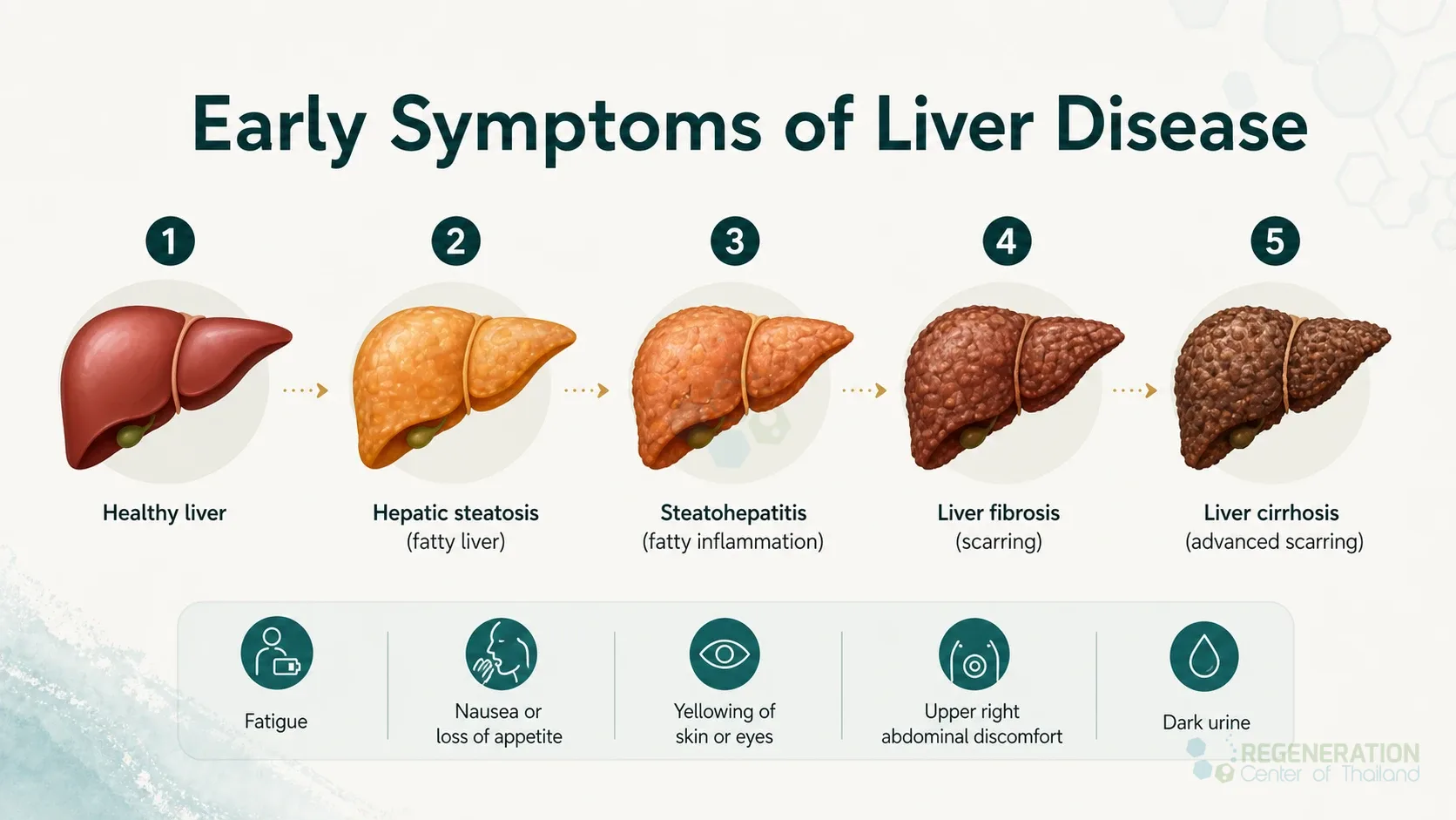 Clinical editorial image for Early Symptoms of Liver Disease, including the section headline.