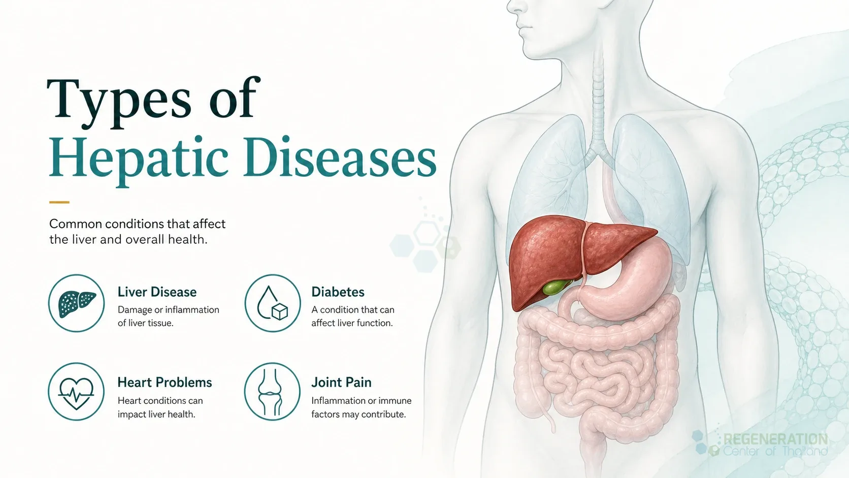 Clinical editorial image for Types of Hepatic Diseases, including the section headline.