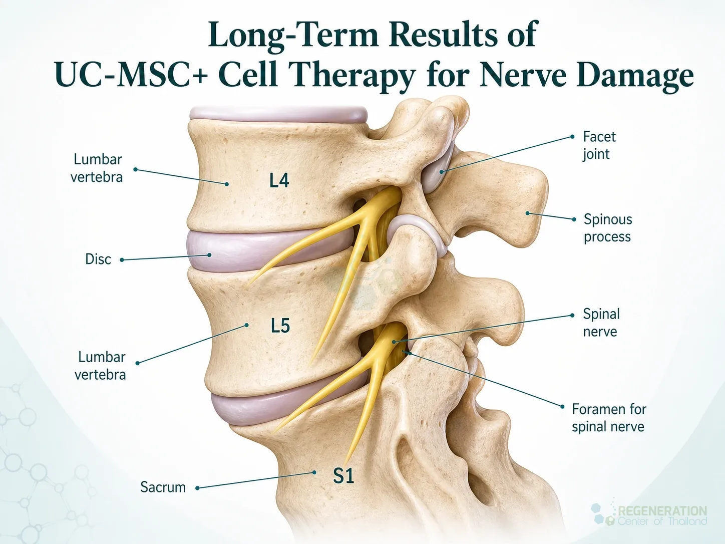 Editorial image for Long-Term Results of UC-MSC+ Cell Therapy for Nerve Damage, including the section headline.