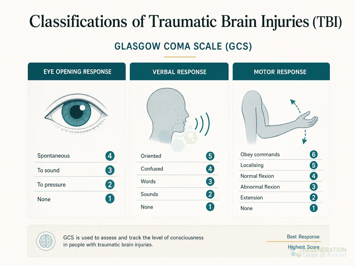 Clinical editorial image for Classifications of Traumatic Brain Injuries (TBI), including the section headline.