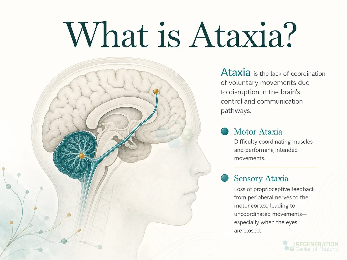 Clinical editorial image for What is Ataxia?, including the section headline.