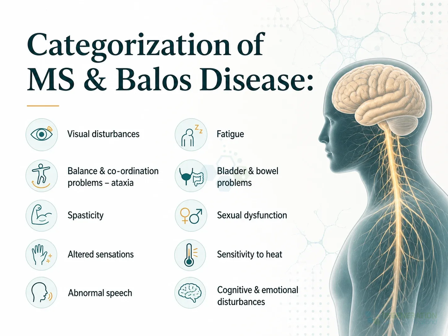 Clinical editorial image for Categorization of MS & Balos Disease:, including the section headline.