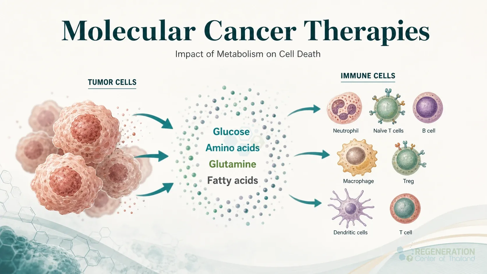 Impact of Metabolism on Cell Death for Targeting the metabolic system to defeat Cancer.