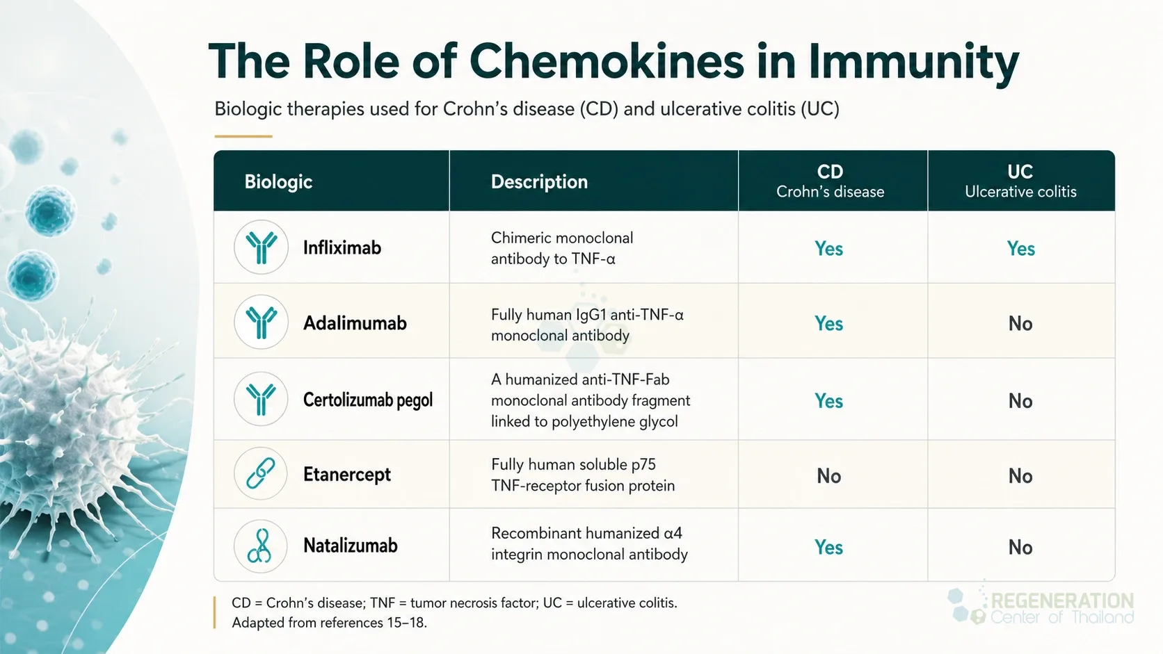 Clean clinical illustration for The Role of Chemokines in Immunity with concise explanatory text.